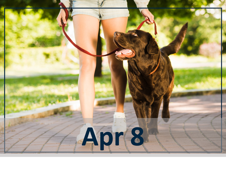 Lunch & Learn: Rising to Meet New Parasite Challenges webinar header image