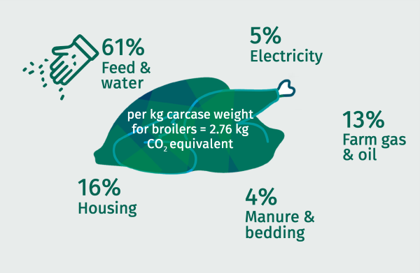 per kg carcase weight for broilers