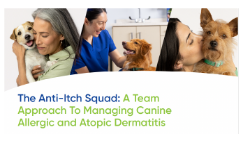 Promotional banner for "The Anti-Itch Squad: A Team Approach To Managing Canine Allergic and Atopic Dermatitis." The collage features photos of happy dogs with their owners and a veterinary professional.