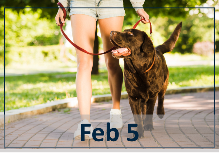 Feb 5 webinar photo. 