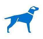 Blue silhouette icon of a dog.