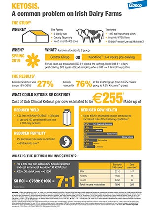 KEXXTONE Irish Study Infographic