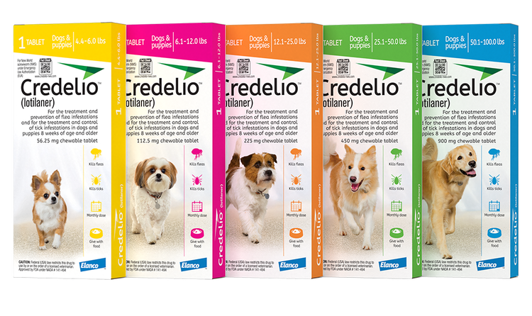 Five weight-coded boxes of Credelio (lotilaner) for dogs. The lineup shows color-coded packs for specific weight ranges, from small breeds like Chihuahuas to large breeds like Golden Retrievers.