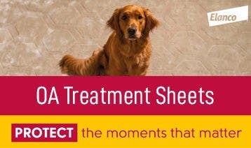 Treatment Sheets Thumbnail
