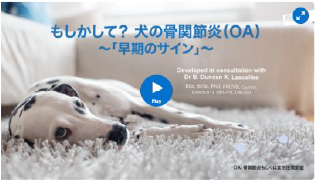 もしかして?犬の骨関節炎(OA)~早期のサイン~