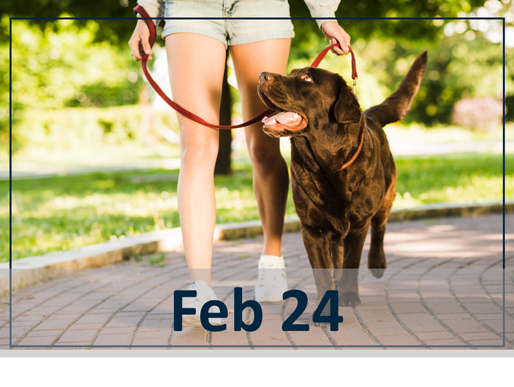 Feb 24 webinar photo. 