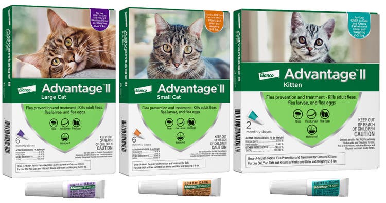 Three boxes of Advantage II for cats, specifically labeled for 'Large Cat', 'Small Cat', and 'Kitten'. The packaging shows the matching topical applicator tubes.