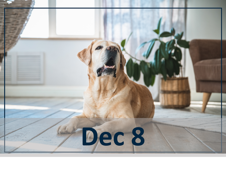 The Real-Life Approach to Osteoarthritis Management: A Case-Based Discussion Dec 8 header image