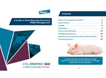 A Coliprotec farmer guide featuring a pig resting on the ground.