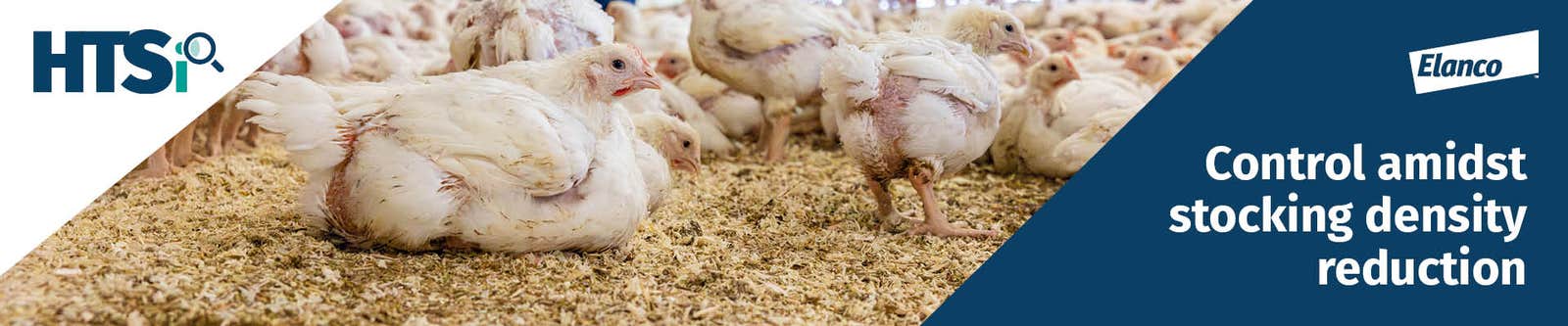 Maintain stable coccidiosis control banner