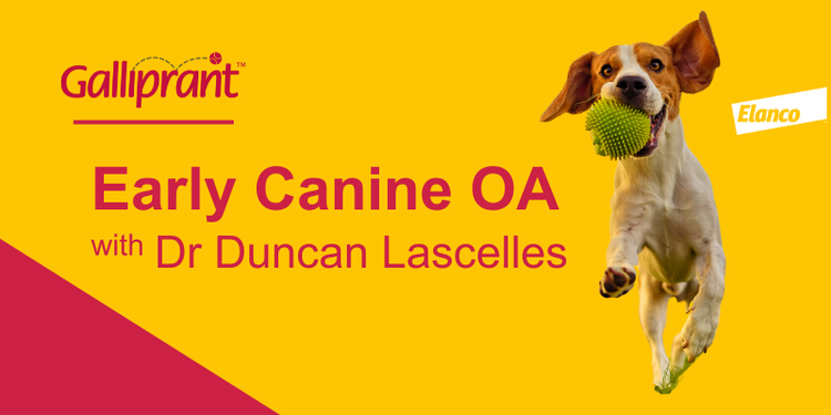 Early Canine Osteoarthritis with Dr Duncan Lascelles