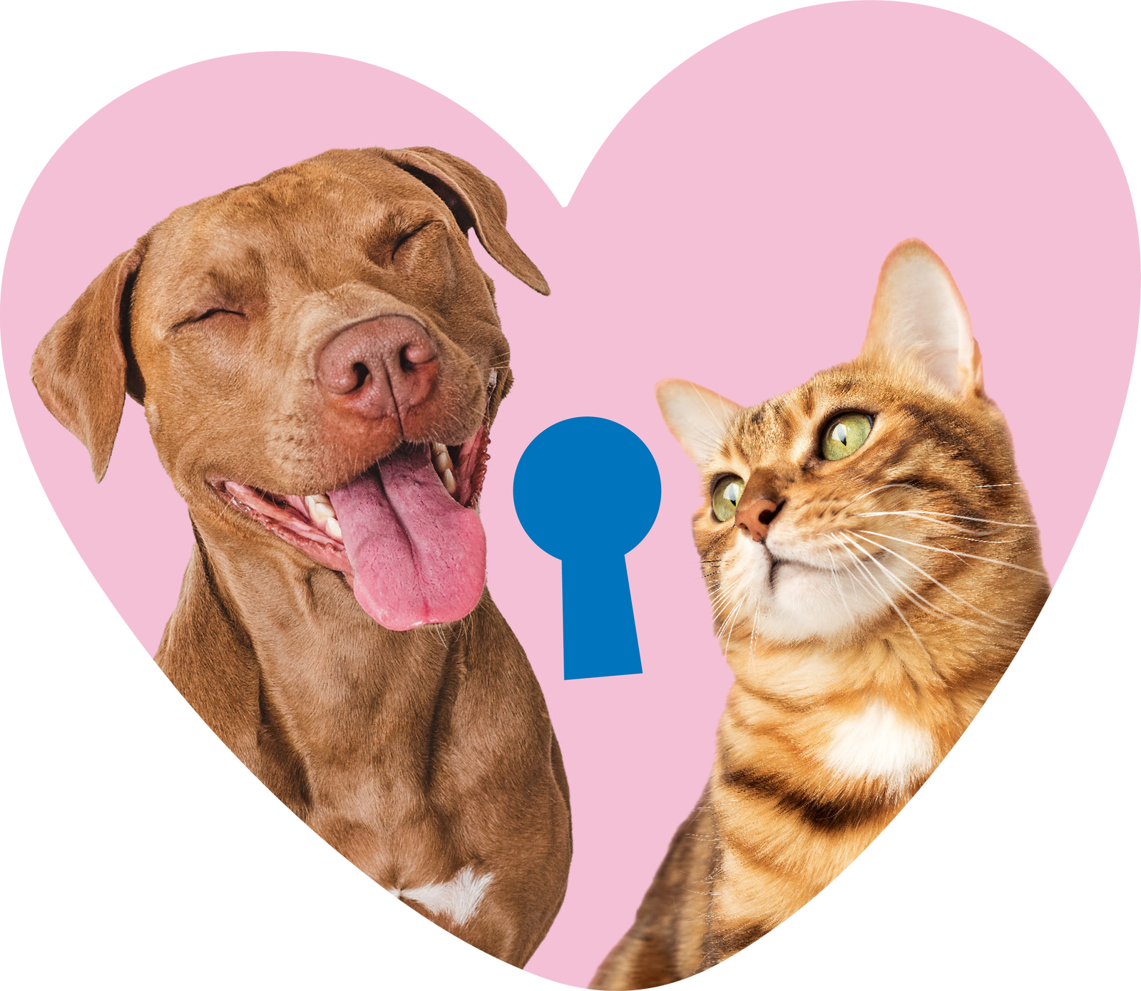 Cachorro e Gato dentro de um coração