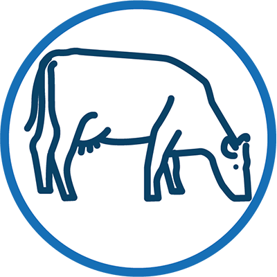 Dairy icon