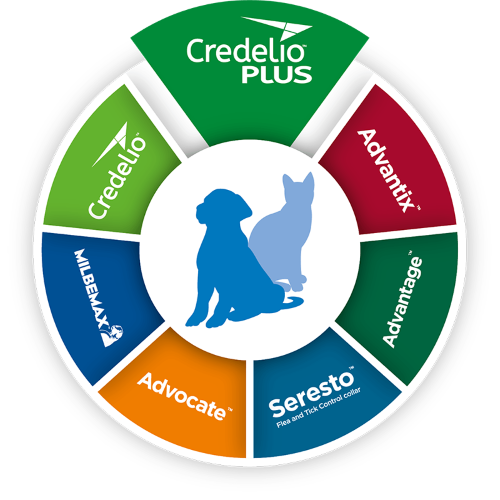 Elanco parasite portfolio wheel