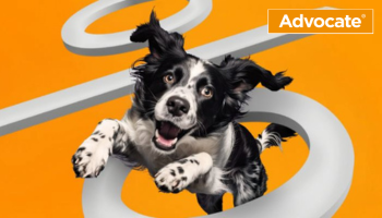 Advocate dog jumping through a % sign