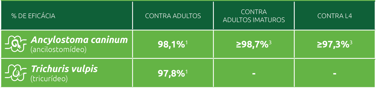 Estudo demonstra a ação contra estágios jovens e adultos dos vermes intestinais devido a ação da Milbemicina Oxima