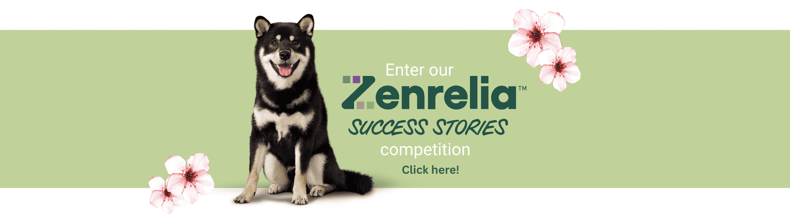 Success Stories Competition banner