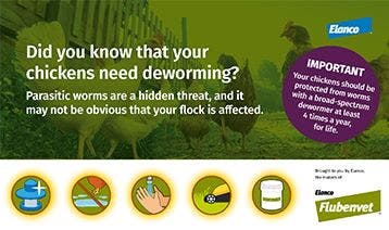 Worming Chickens Poster