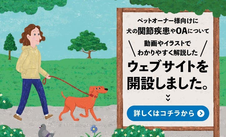 ペットオーナー様向け犬の関節疾患・OAについて解説するサイト