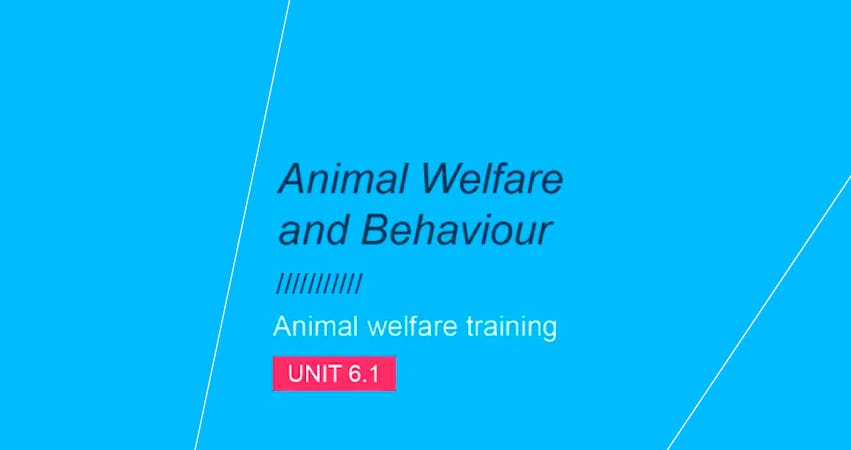 Bem-estar animal e Comportamento: Unidade 6.1