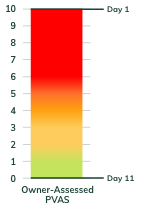 Maze day 11 PVAS score