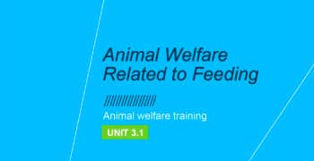 Animal welfare related to feeding I