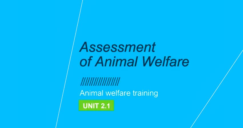 Avaliação do bem-estar animal: Unidade 2.1