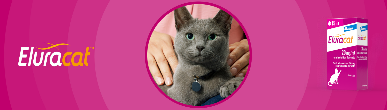 Pink banner with a grey cat, Eluracat packshot and Eluracat logo 