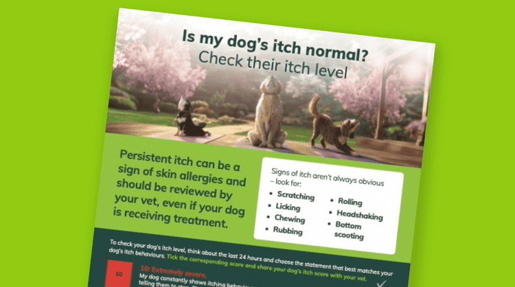 Zenrelia Pre-Prescription leaflet