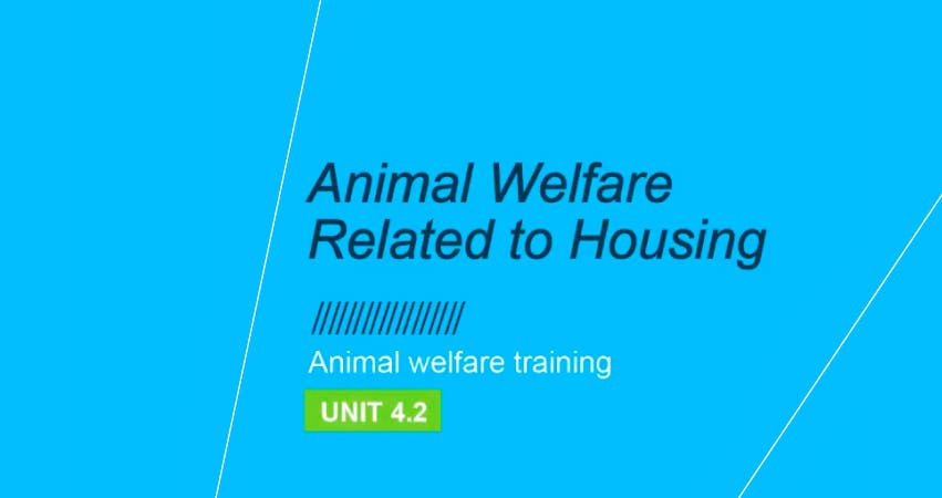 Bem-estar animal e Alojamento: Unidade 4.2 