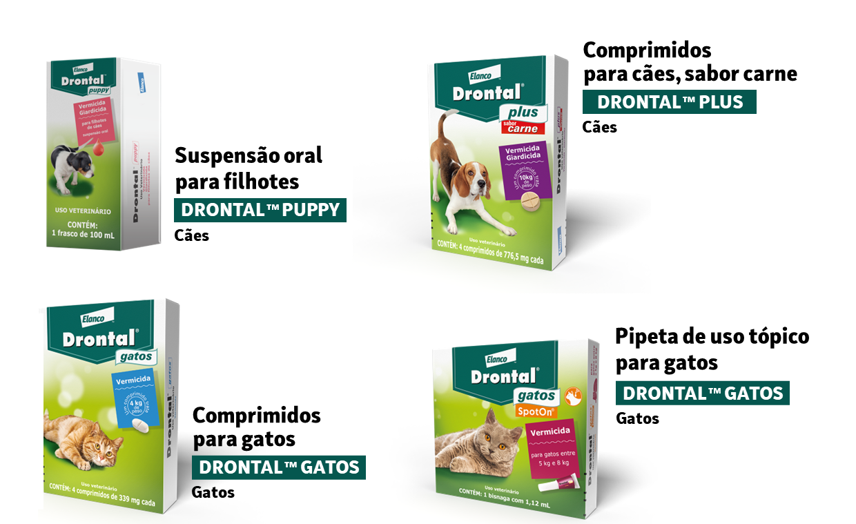 Embalagens Drontal juntas