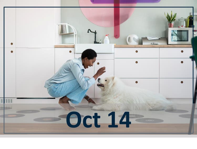 oct 14 header image webinar