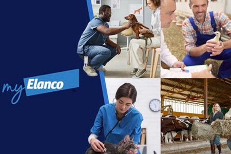 Login to Elanco's MyElanco online portal for prescribers