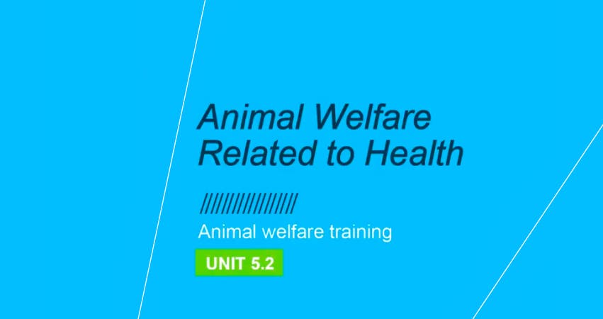 Bem-estar animal e Saúde: Unidade 5.2