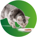 Credelio Cat Tablet Smell Image