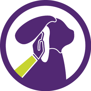 Wipe or blot away cleaning solution from dog's ear