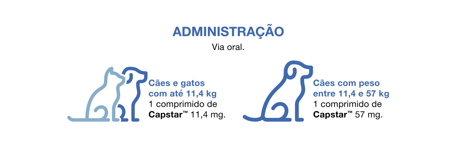 Administração Capstar