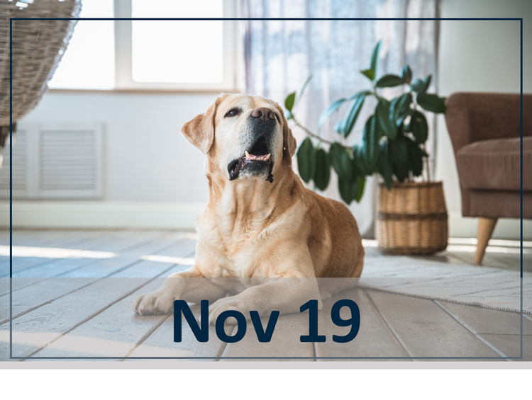 The Real-Life Approach to Osteoarthritis Management: A Case-Based Discussion Nov 19 header