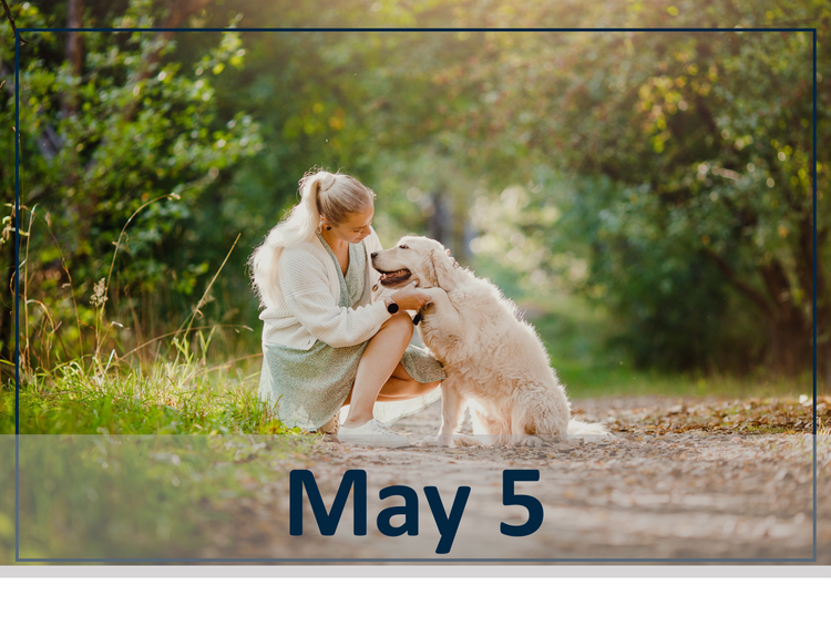 May 5th webinar header image.