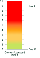 Owner assessed PVAS score for Molly