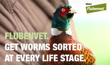 Flubenvet For Game Birds Brochure