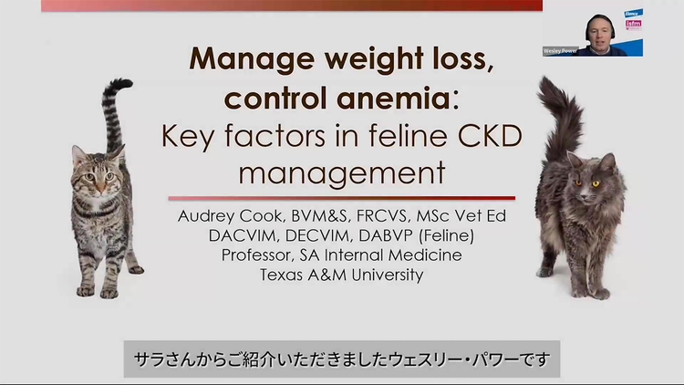 Elura ISFM Webinar 本編動画