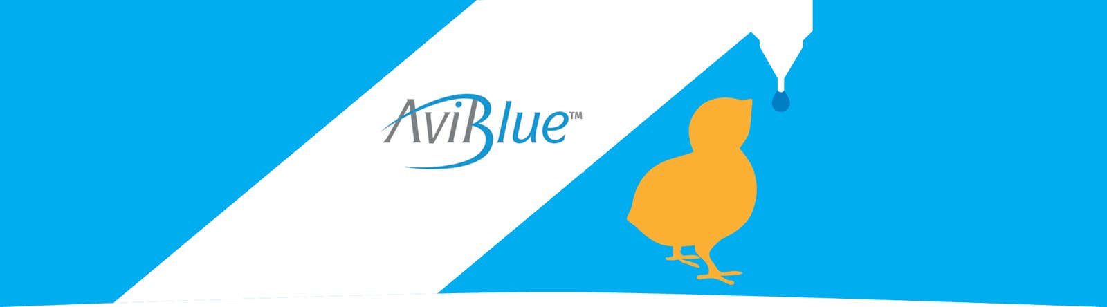 Aviblue hero banner