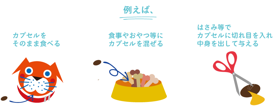 アンセット｜エランコジャパン株式会社 小動物獣医療関係者向け情報サイト