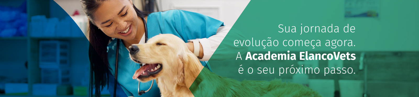Banner da Academia ElancoVets com veterinária sorridente examinando um cachorro da raça golden retriever à esquerda e, à direita, fundo verde com o texto: ‘Sua jornada de evolução começa agora. A Academia ElancoVets é o seu próximo passo.