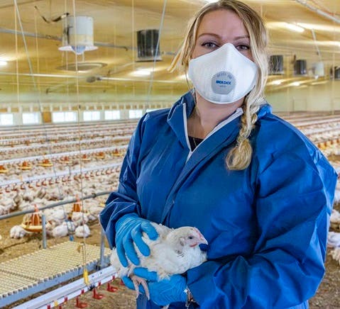 Louise holding a broiler