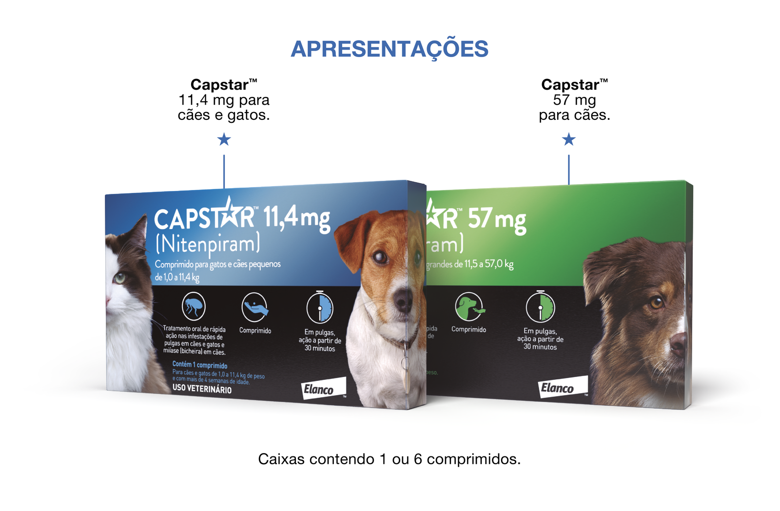 Capstar Embalagens