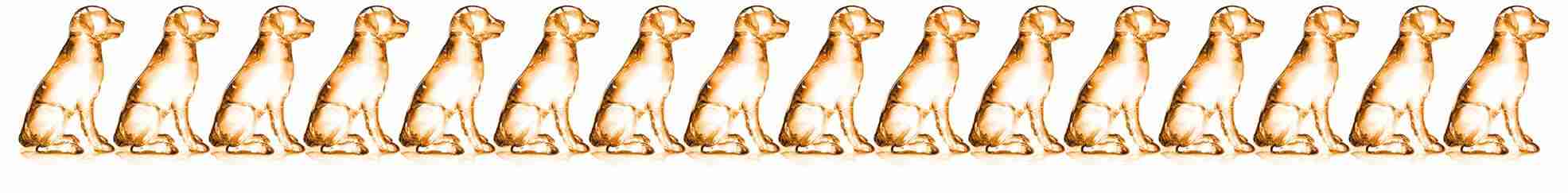Advocate glass dogs