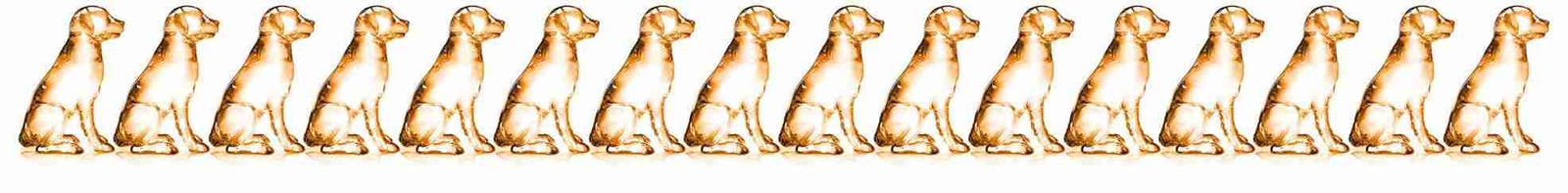 Advocate glass dogs