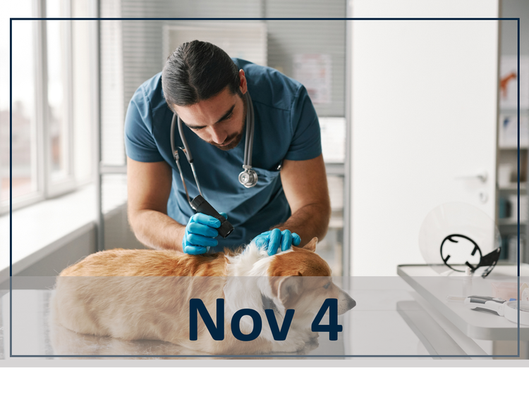 Cutting Risk Short: Speed of Tick Kill as a Tool for Canine Tick-Borne Disease Control Nov 4 header image